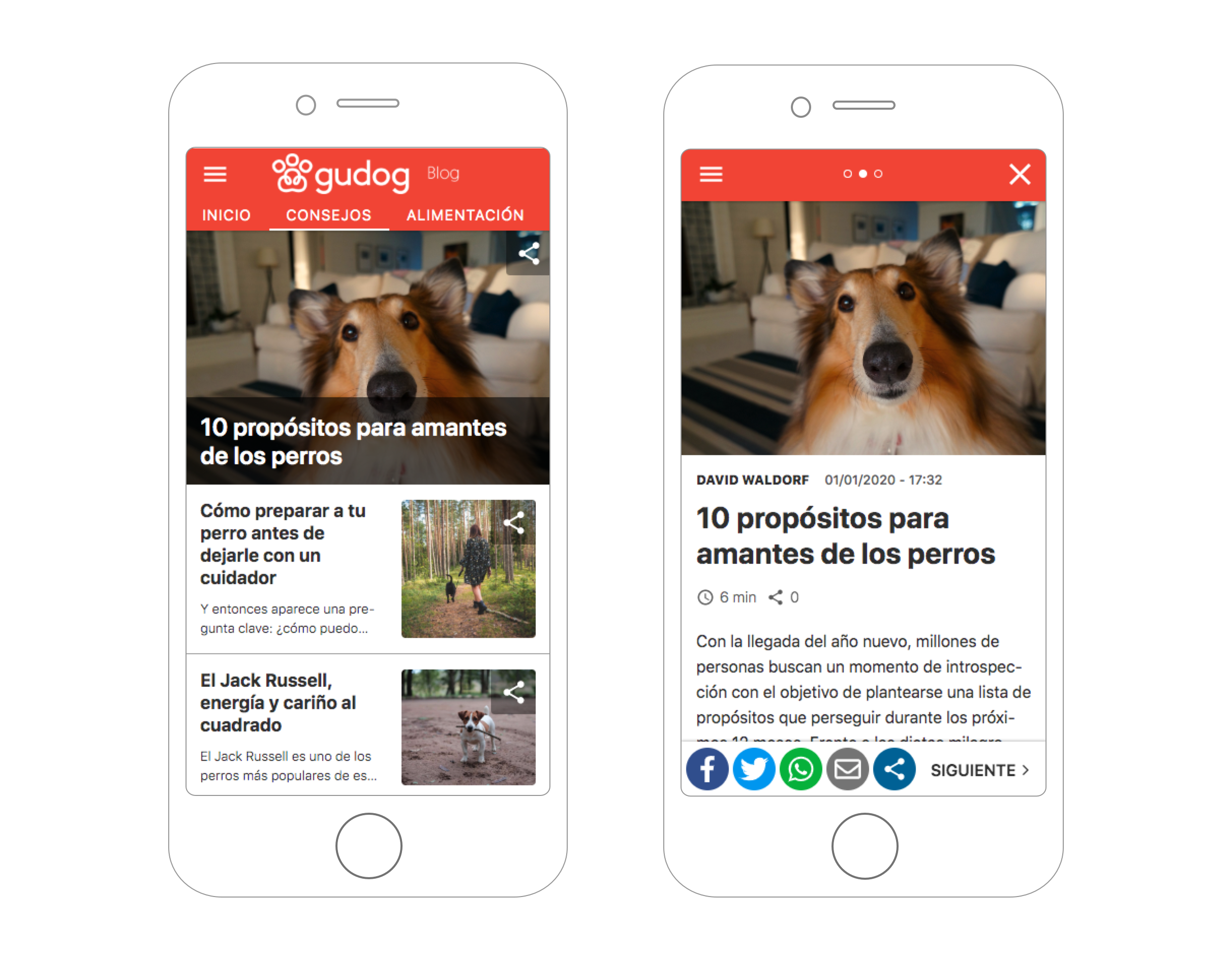 Gudog's blog on mobile using Frontity's theme.](https://i2.wp.com/wp.frontity.org/wp-content/uploads/2020/02/home-and-post-view-gudog-blog.png?fit=580%2C452&ssl=1)